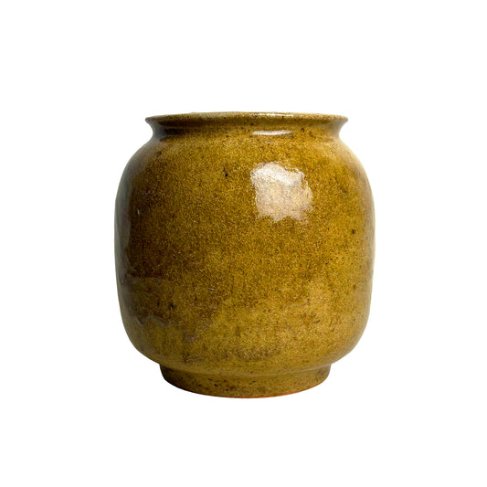 Perpetual Ash - Isle of Wight Pot